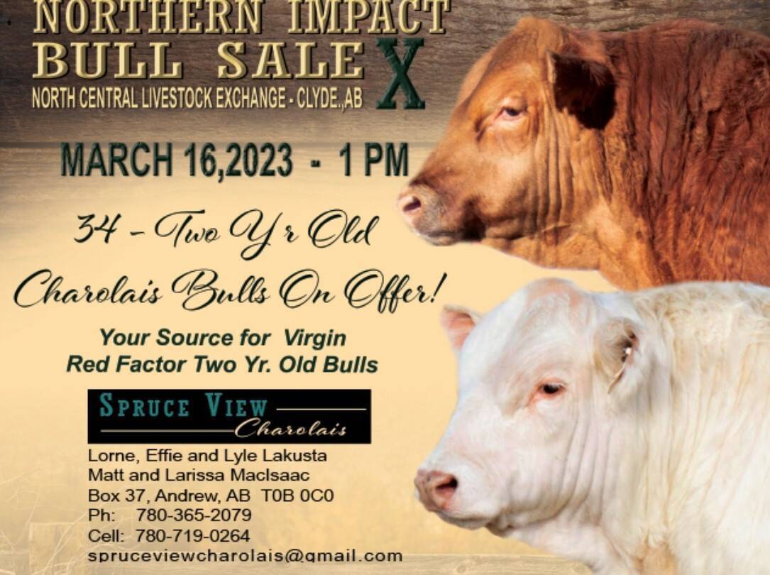 North Central Livestock Exchange